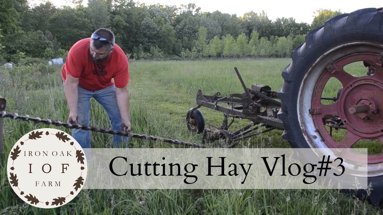 Cutting Hay Vlog #3