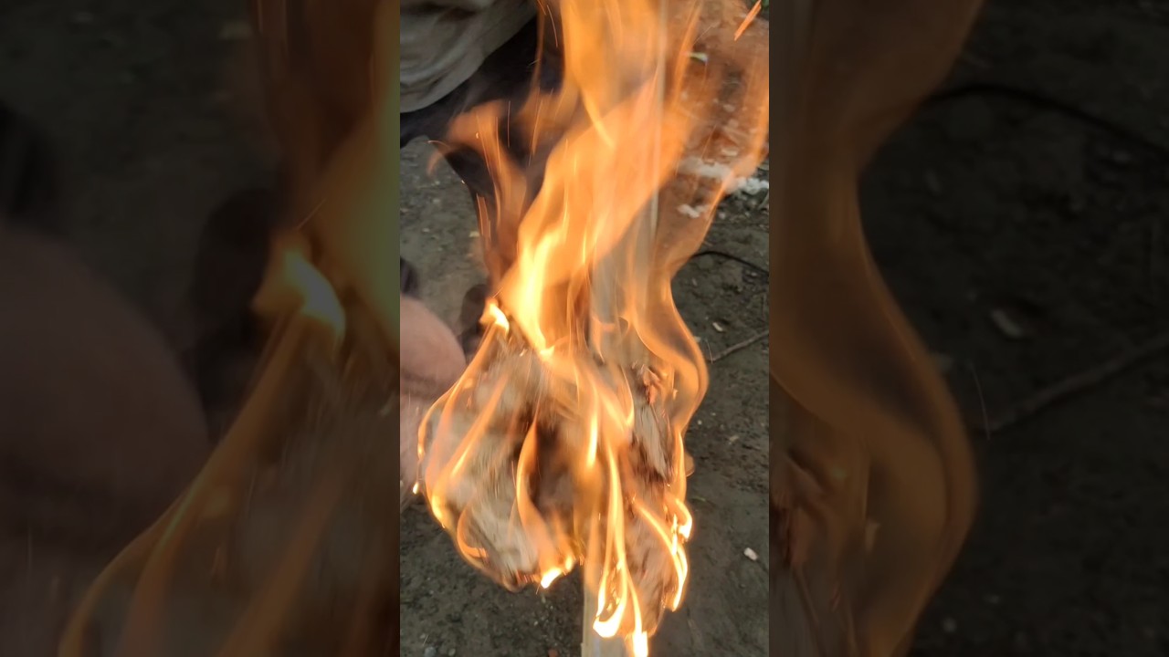 Классическая бамбуковая пожарная пила