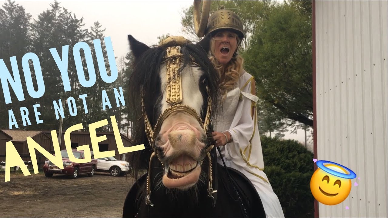 Funny Horse Video Not AI lol  