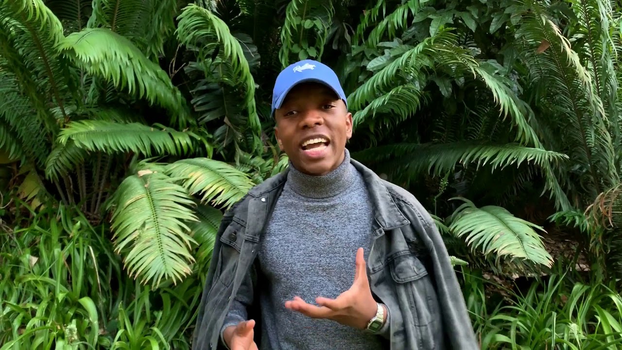 Wonderful Khumalo - Love at Last Sight