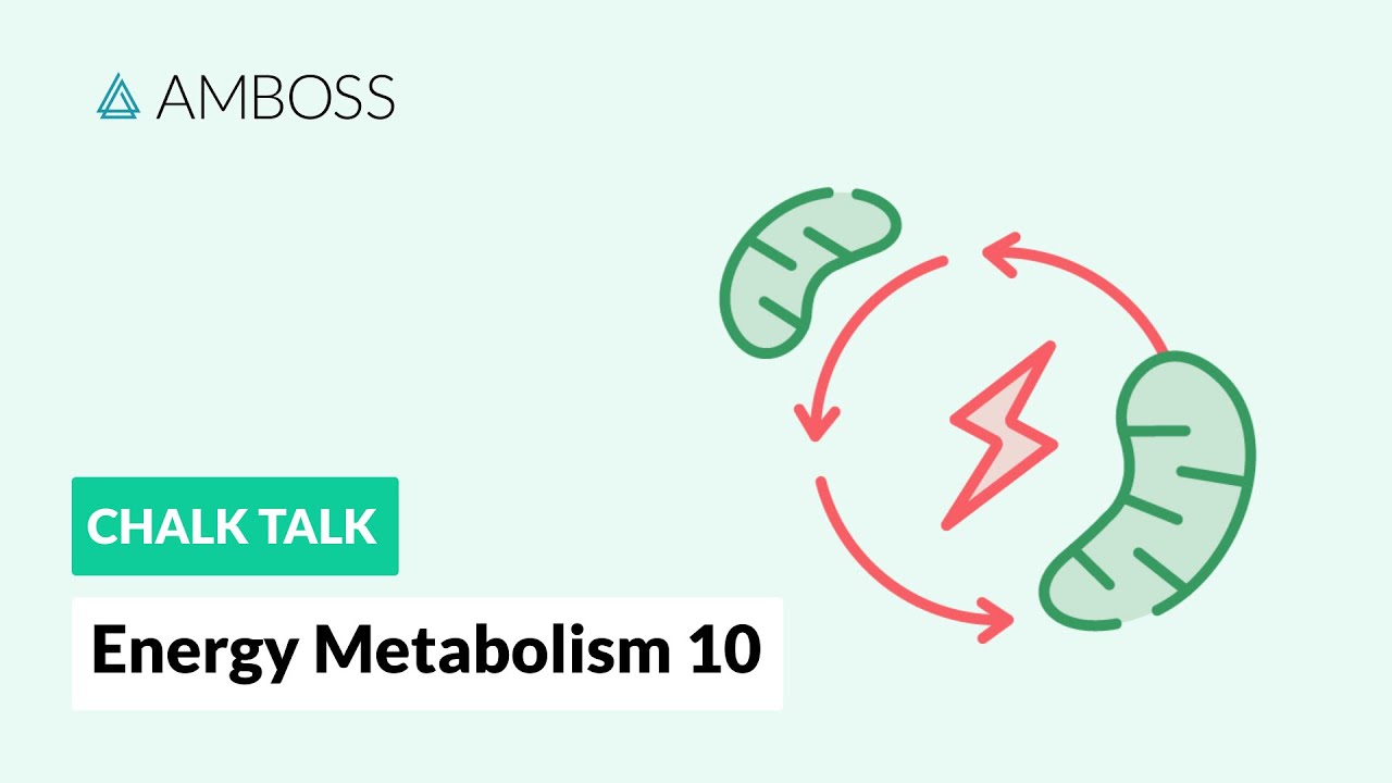 Energy Metabolism - Part 10: Gluconeogenesis Reactions with molecular structures