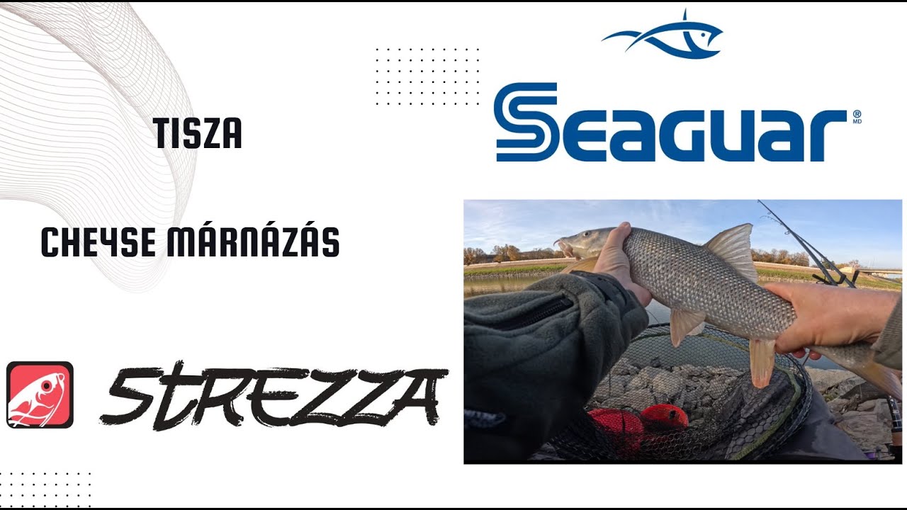 Tiszai Feeder percek 14. rész - Rémisztő márnázás a Tiszán - Che4se River Series| Strezza Fishing