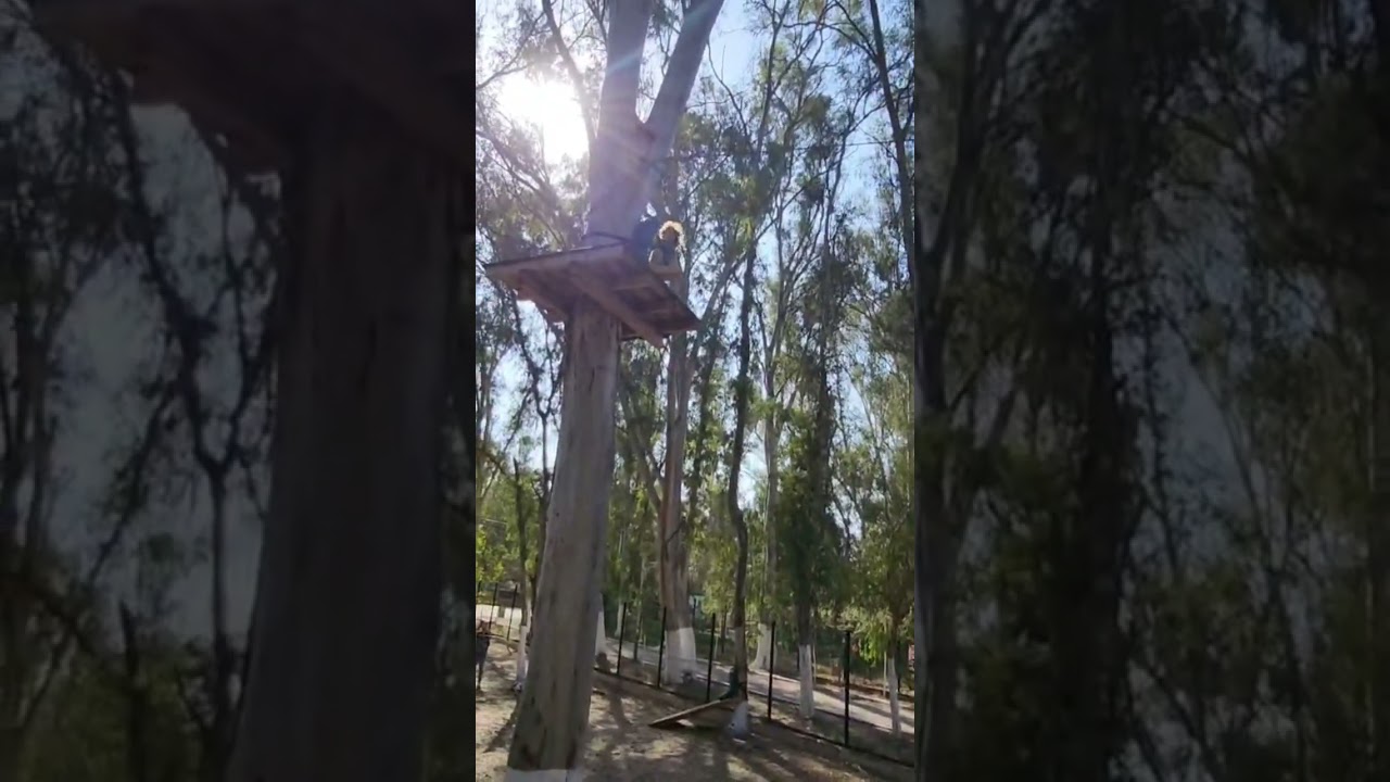 numedia park in tipaza algeria 