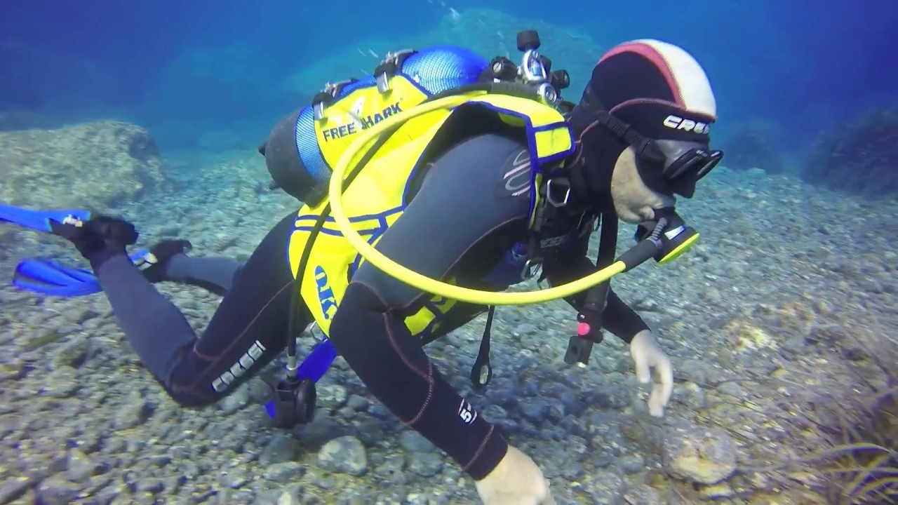 Immersione sub Ustica 2017, fondale marino Zia Lisa. Sub tour of ustica sicily deep sea.