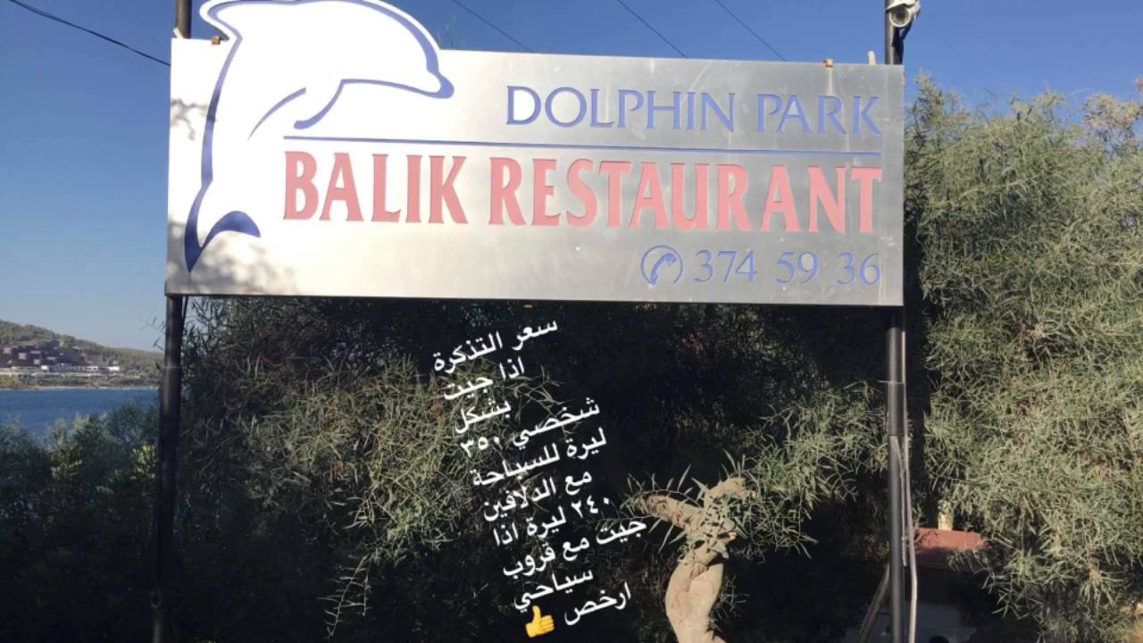 القناص sniper_tr في بودروم-تركيا اليوم الخامس