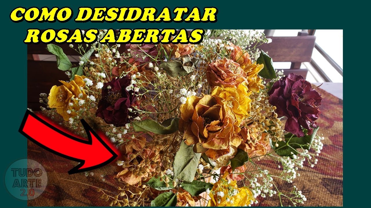 Como Desidratar Rosas Abertas