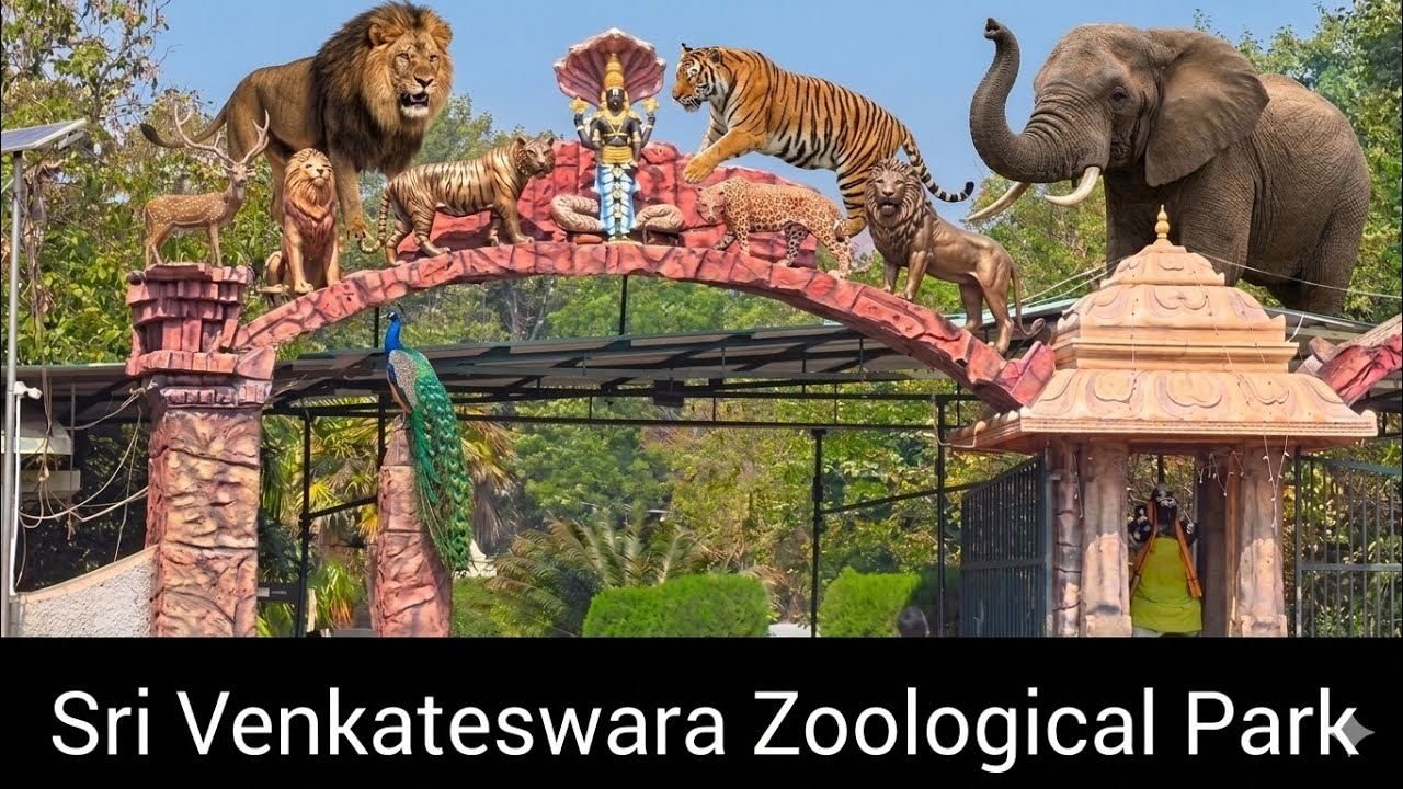 Tirupati Zoo Tour 2026 | Must-Visit Places in Tirupati🐘🐅🦦🦚#TirupatiZoo #WildlifeVlog