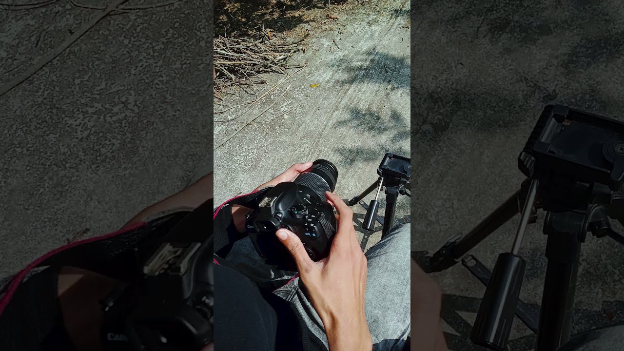 Canon1300d budget dslr camera for beginner