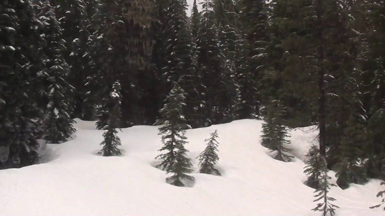 Amtrak Coast Starlight Part 4:  Klamath Falls, OR to Portland, OR