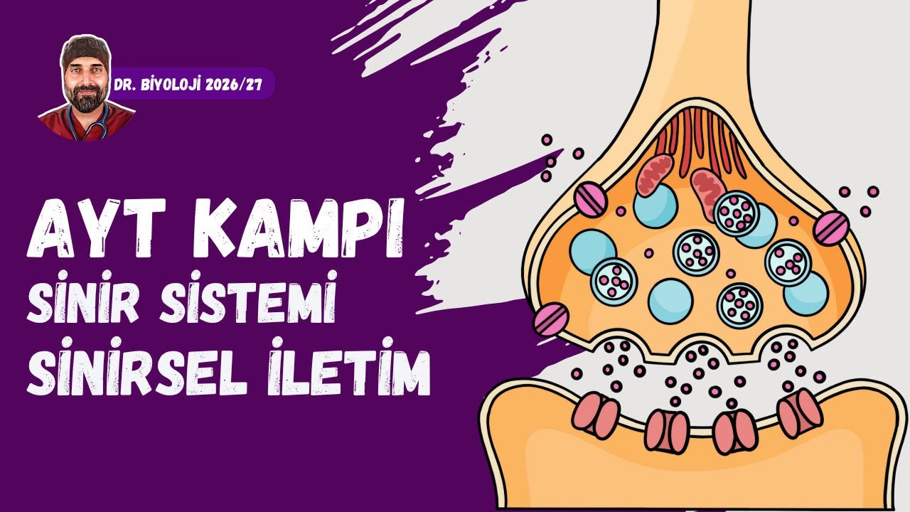 Sinir Sistemi Aksiyon Potansiyeli | Dr. Biyoloji | AYT Dönem 2026 - 2027