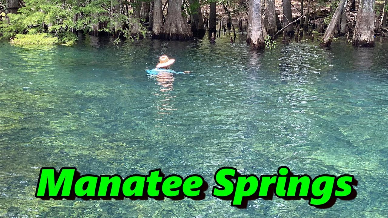Manatee Springs State park