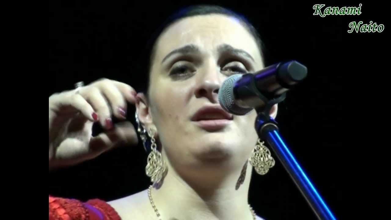 Сольный концерт Елены Ваенги в Тольятти. 05.02.2013