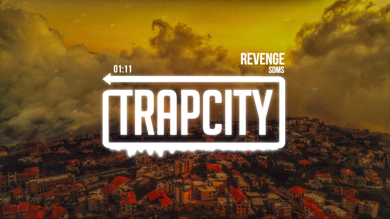 SDMS - Revenge