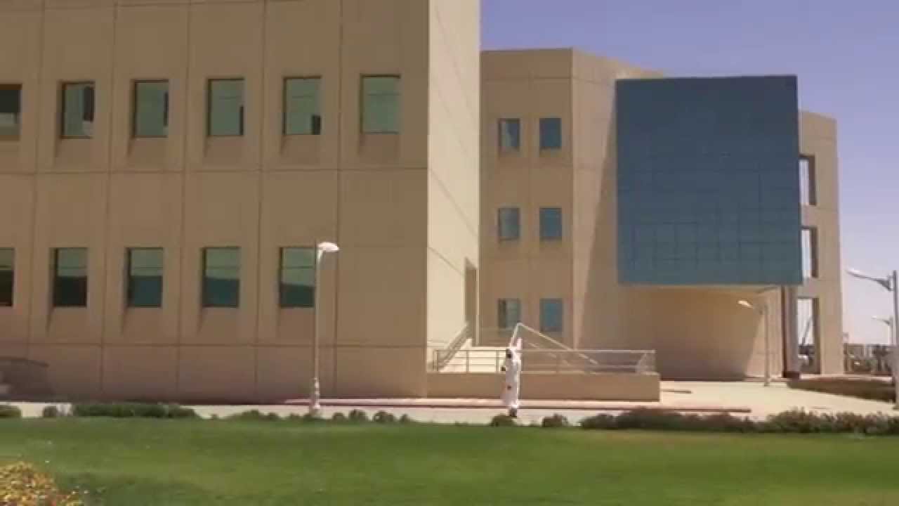 جامعة نجران