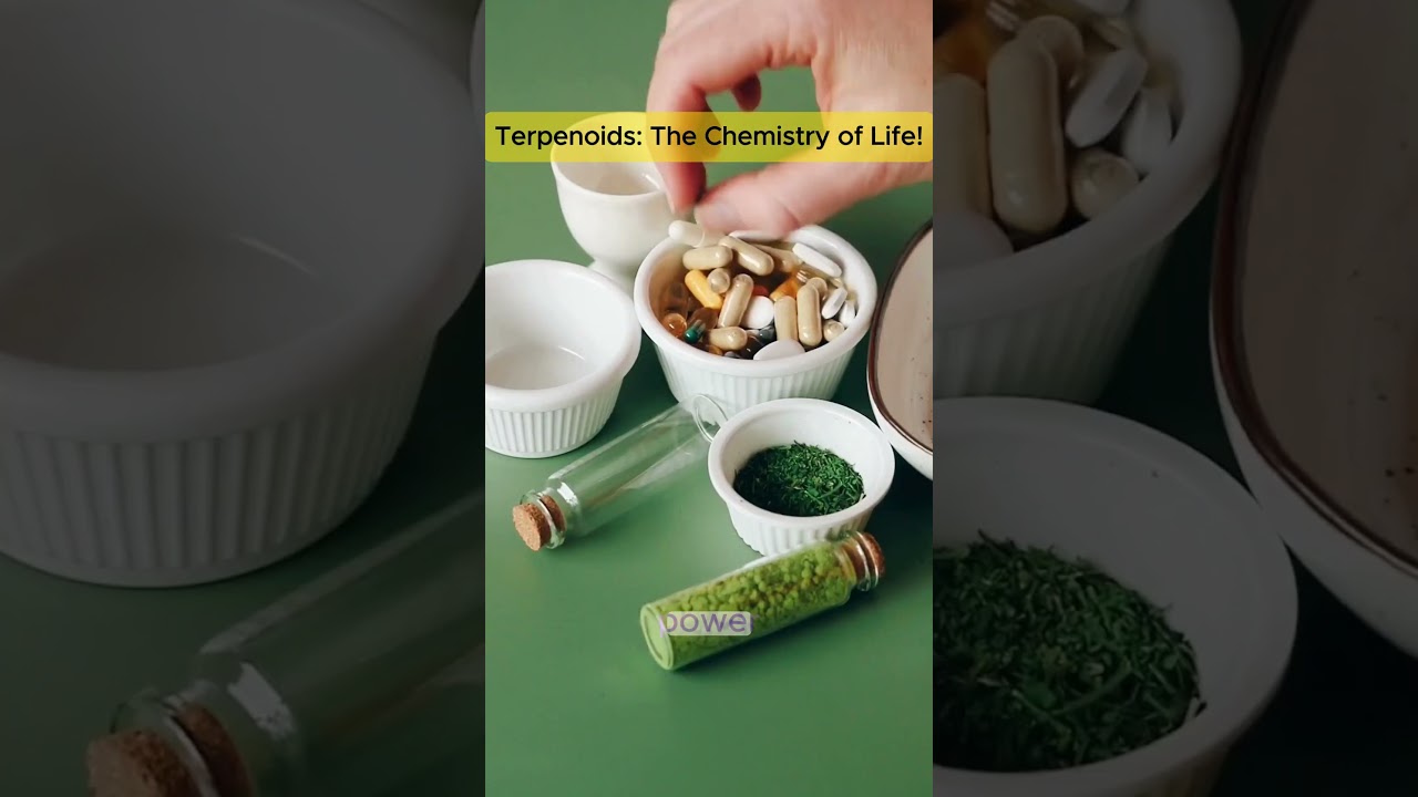 Terpenoids: The Chemistry of Life! | Prof. Dr. Aziz