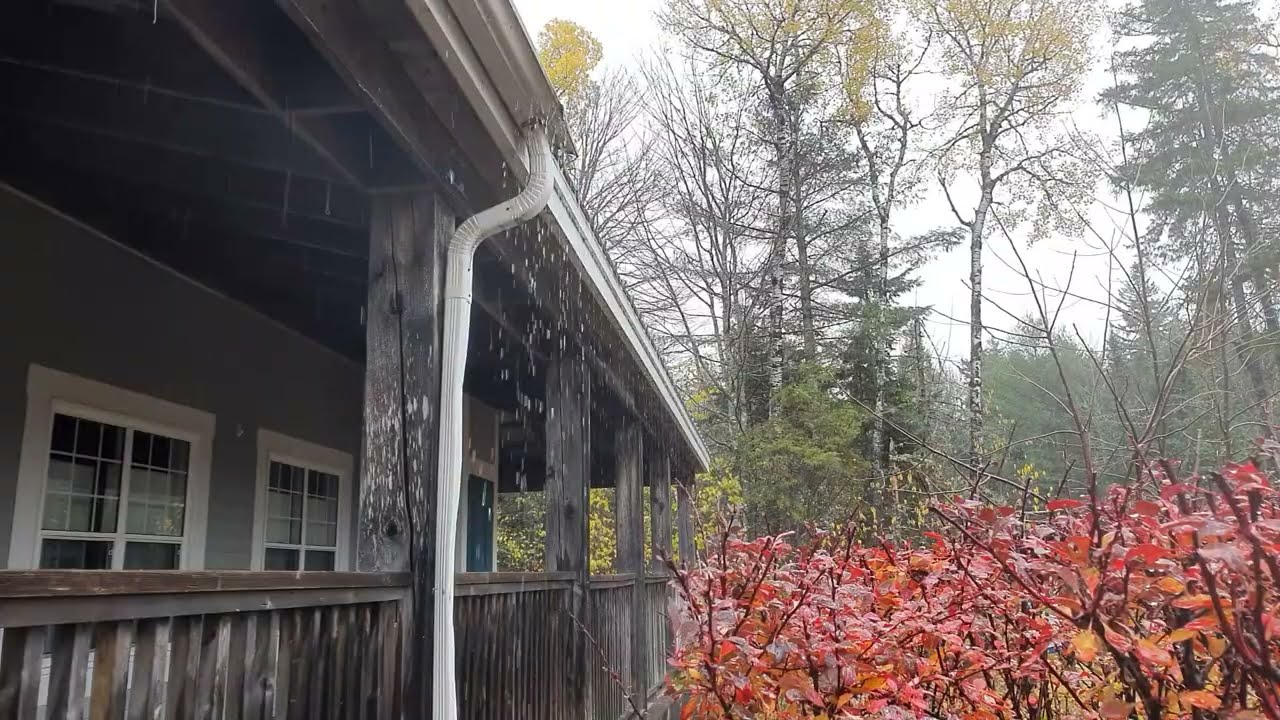Relaxing Windy  Autumn Rain on Lodge Roof 🎧 ASMR