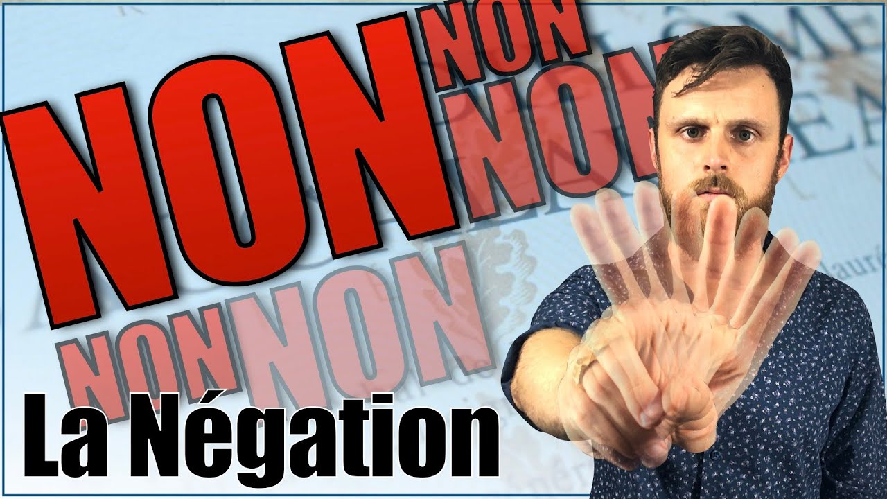 TOUT sur la Négation : BAC 🇫🇷 Négation partielle, négation totale et restrictive