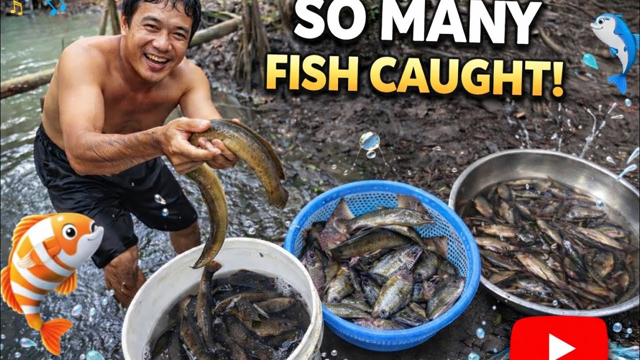 Catching Fish in the Village Pond | Peaceful Rural Life
