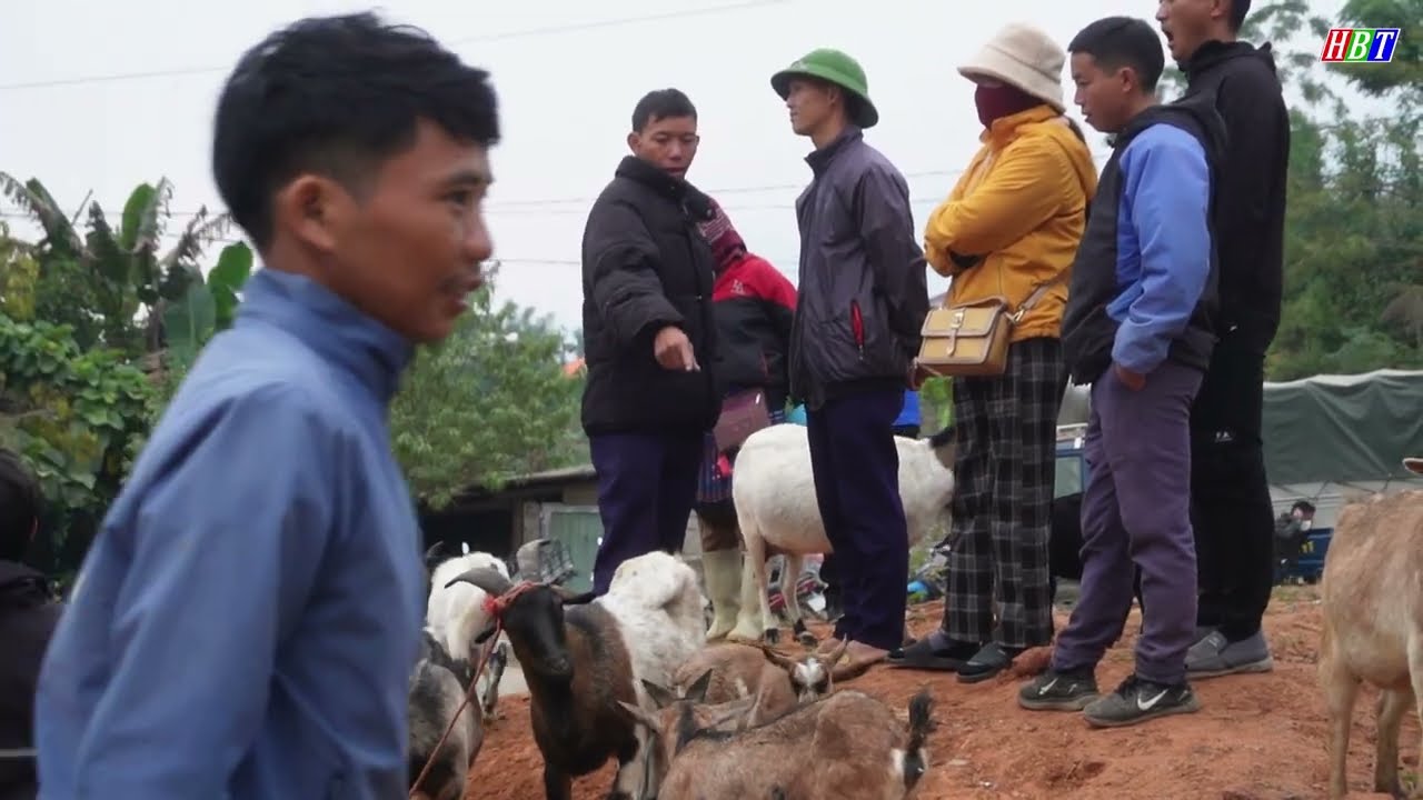 CHỢ TÂY BẮC BƯỚC VÀO CUỐI NĂM - Nhộn Nhịp Dê Núi, Lợn Cắp Nách, Nông Sản Núi Rừng Và Ẩm Thực