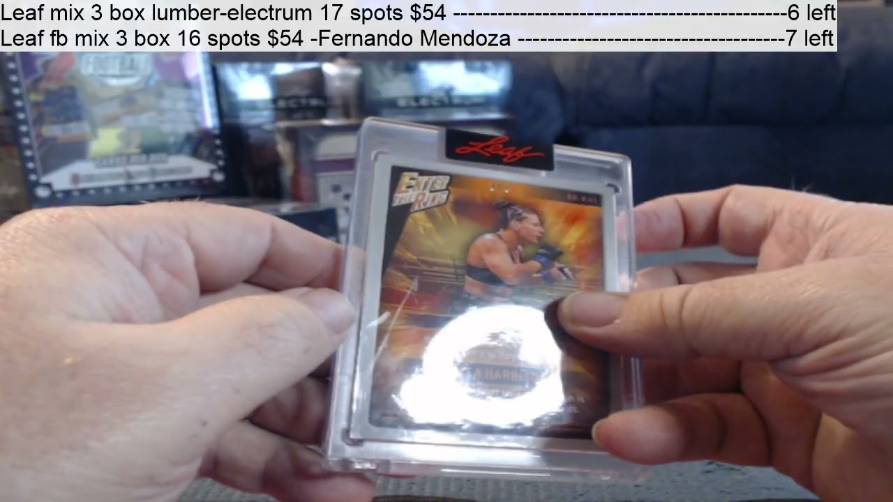 2025 leaf electrum mega 1 box 1-23-26