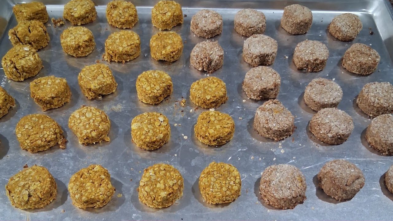 Homemade 'Pupkin' and PB Banana PuppyTreats, taste testing & sister's devotional  