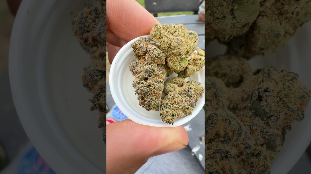 Death Bubba by 4C LABS (UK Medical) #medicalcannabisuk #medicalcannabis #cannabiscommunity