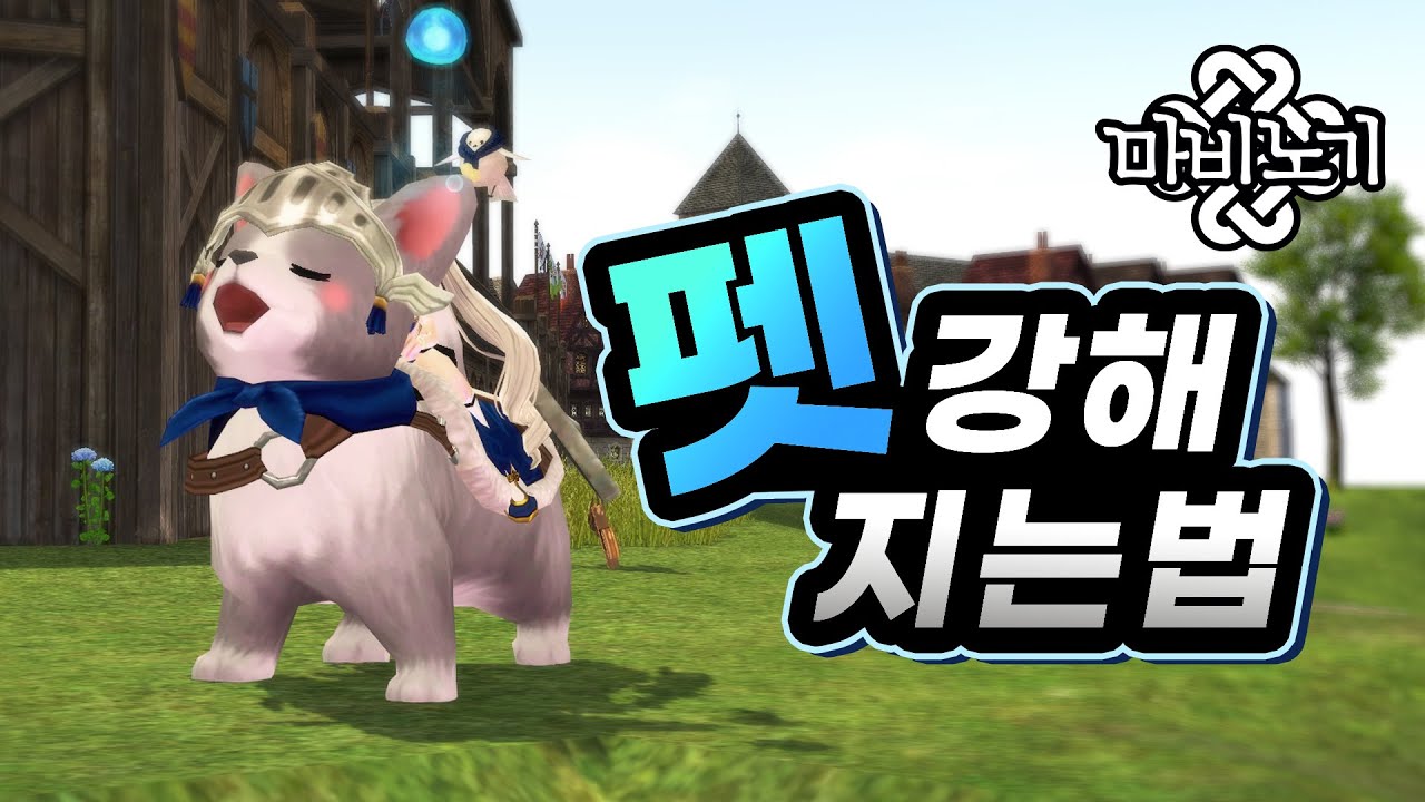 잘 키운 펫 하나, 열 밀레시안 안 부럽다 | 마비노기