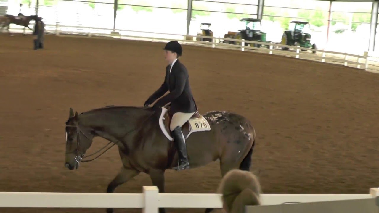 2016 05 07 Grace's Youth Hunter Under Saddle 14 18