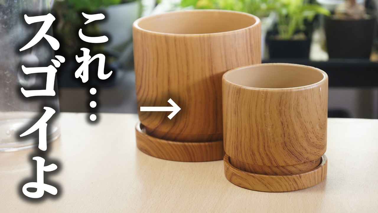 過去イチの反響！みんなが欲しがった激安植木鉢がこちらです【スタンダードプロダクツ】