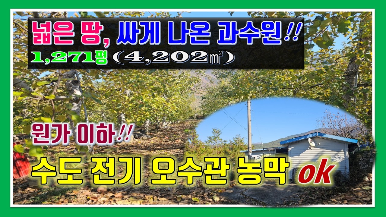 밀양 토지 매매 -매물1,317번(넓은 땅, 싸게 나온 과수원  원가 이하!! 수도, 전기, 오수관로 완비된 농막과 하우스