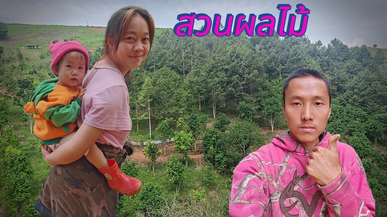 พาหมูอ้นและลูกหมีไปดูอะโวคาโดและทุเรียนว่าโตแค่ไหนพร้อมขายหรือยัง