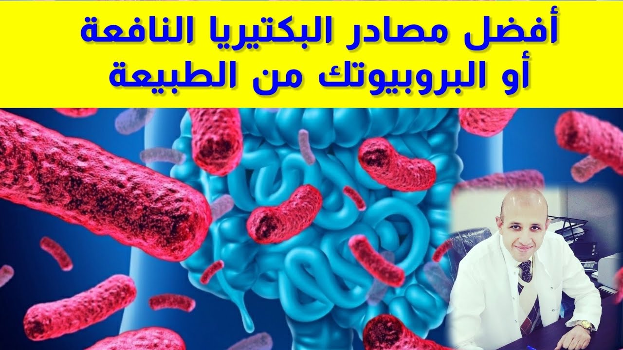 ٣٦٧) مصادر البروبيوتك او البكتيريا النافعة من الطبيعة | المختصر المفيد | الحلقة (٢٤)