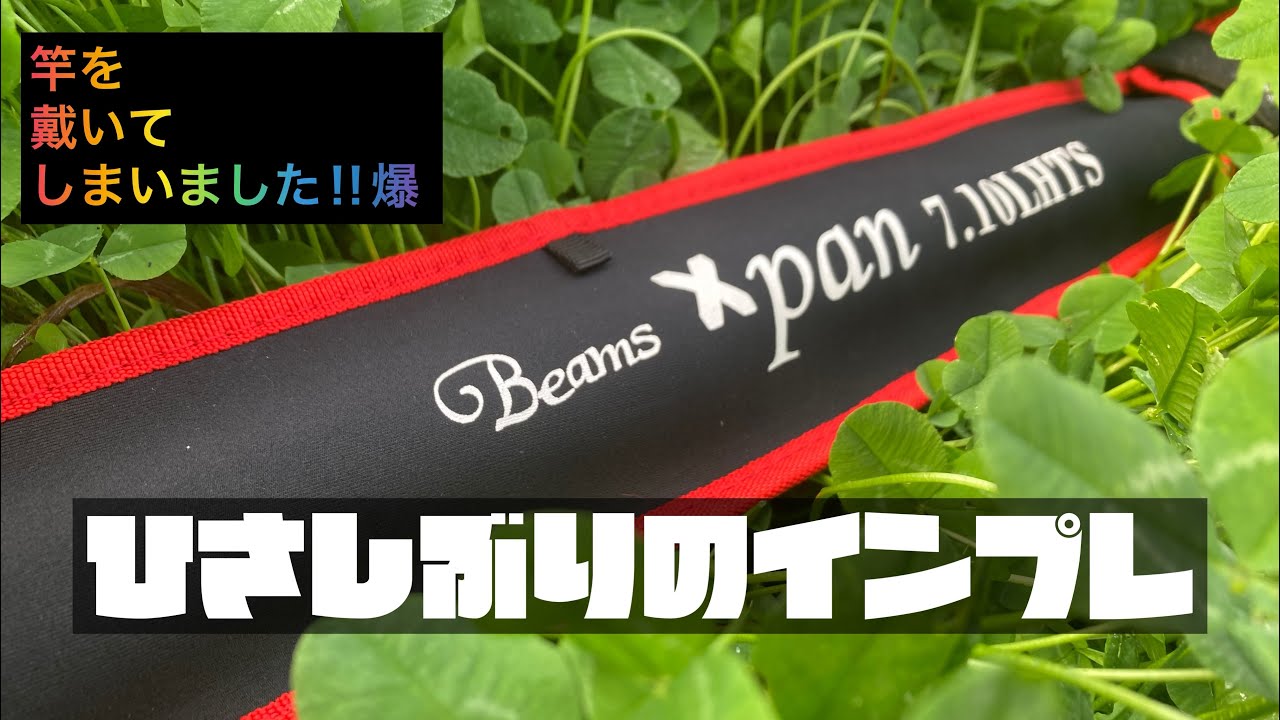 Fishman Beams Xpan7.10LHTS インプレ