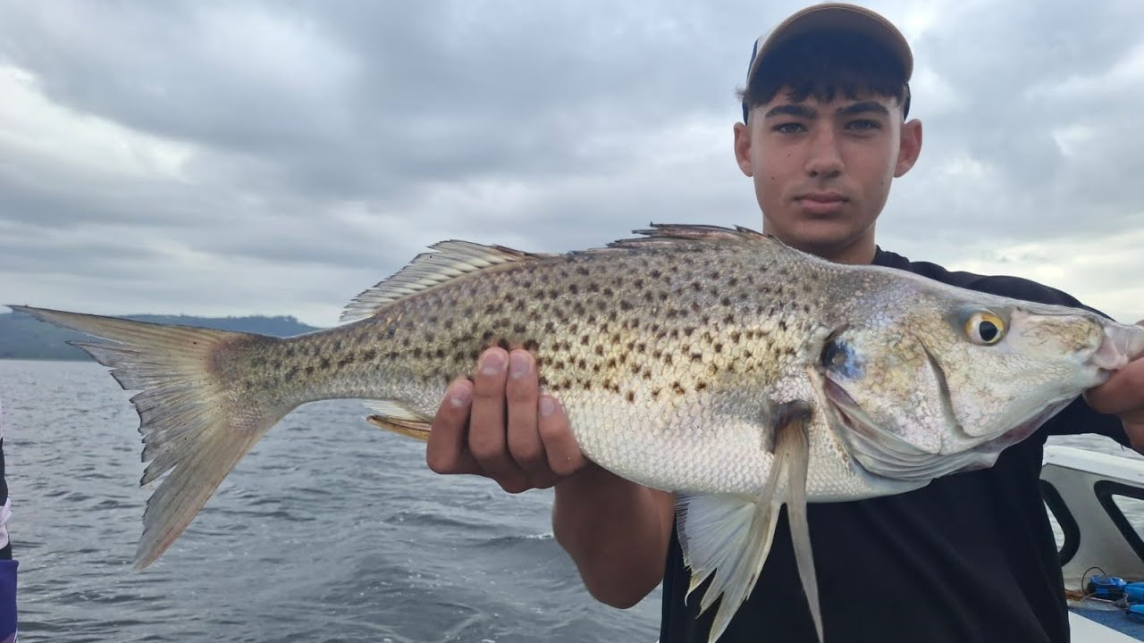 Grunter Fishing on Sand Prawns