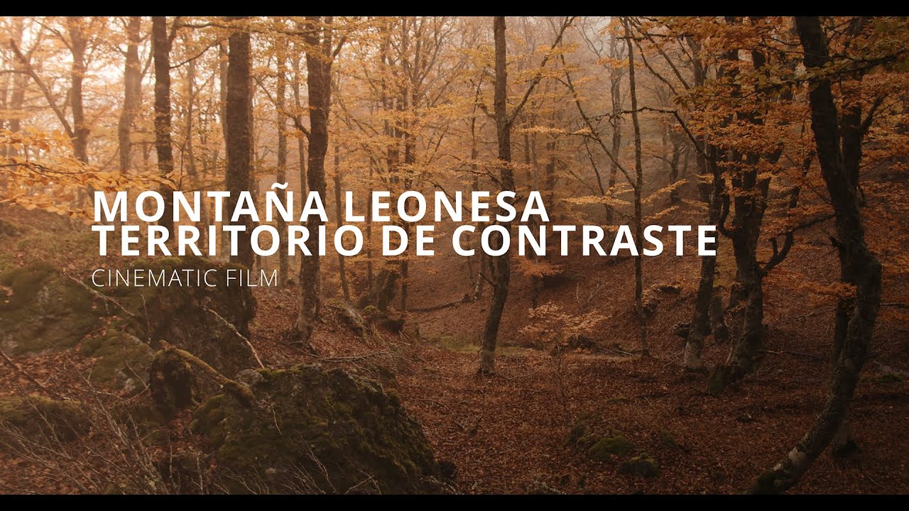MONTAÑA LEONESA, TERRITORIO DE CONTRASTE. CINEMATIC FILM.
