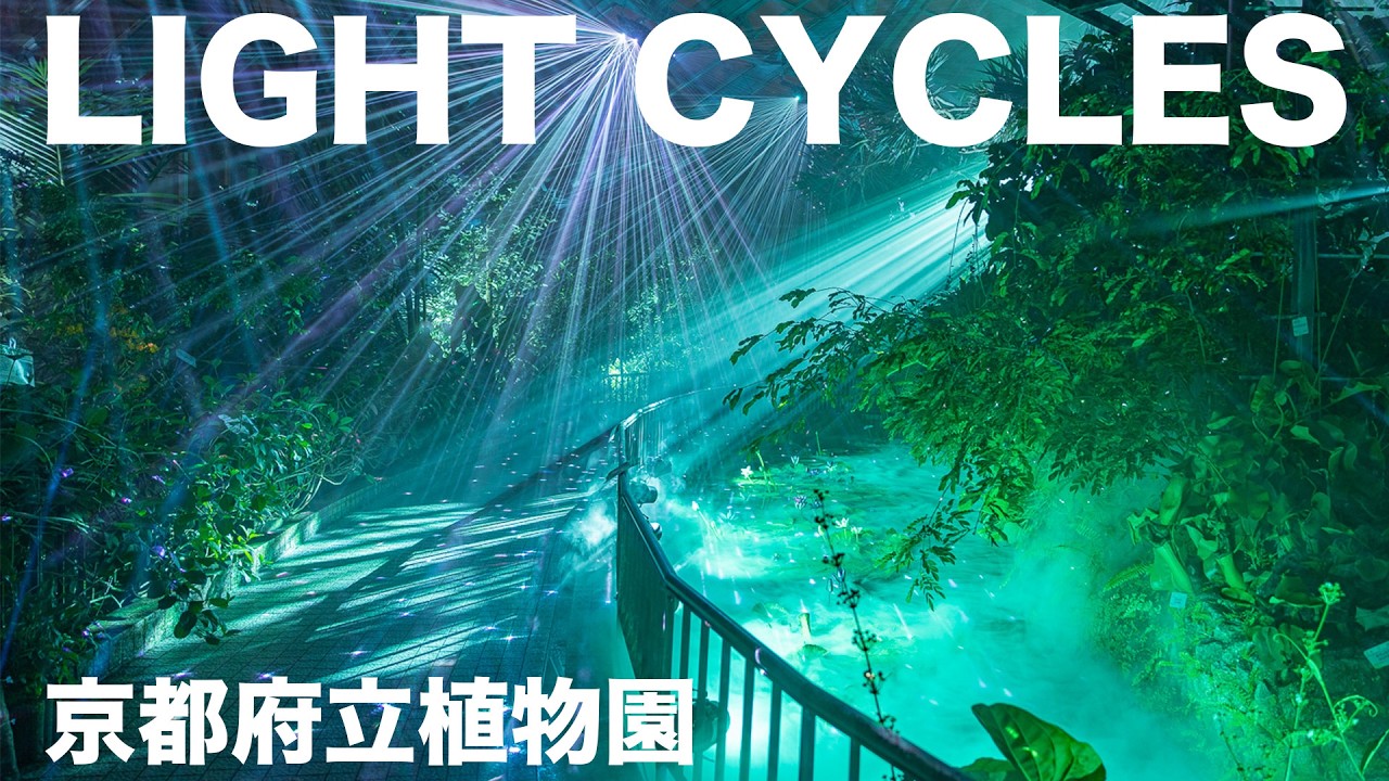 【京都】京都府立植物園　“LIGHT CYCLES KYOTO”　2024秋ライトアップ