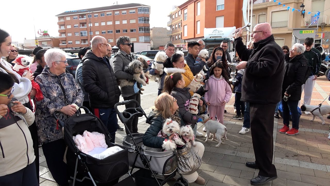 Bendición de los animales | San Antón Mazarrón 2025