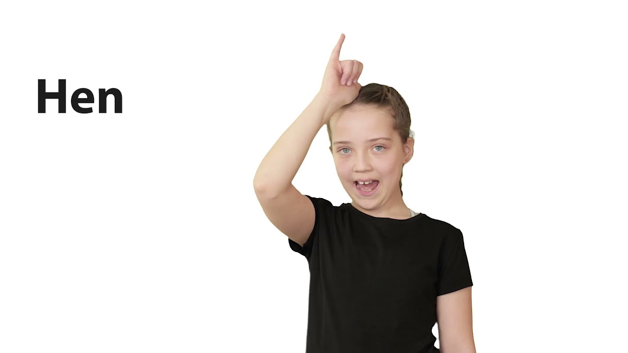 Sign Of The Times Part 1 - Introduction to Basic Irish Sign Language