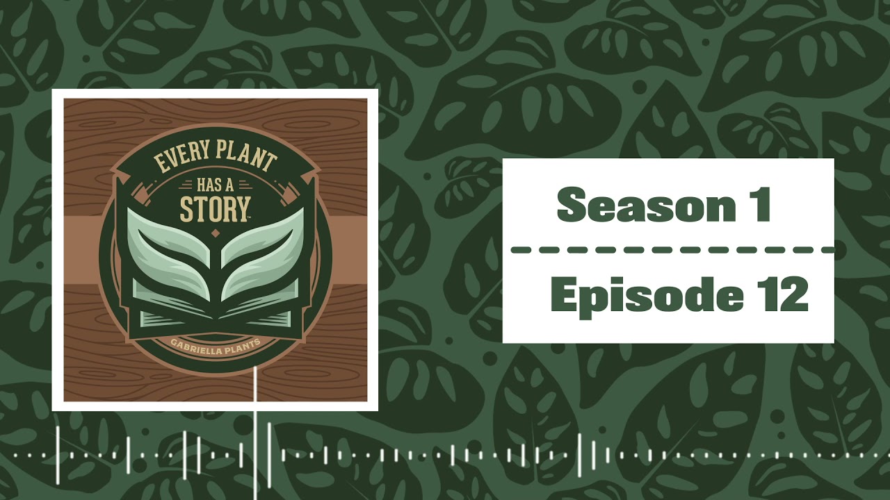 Nastic Movements & Tropisms w/Brett | Every Plant Story Podcast | S1E12