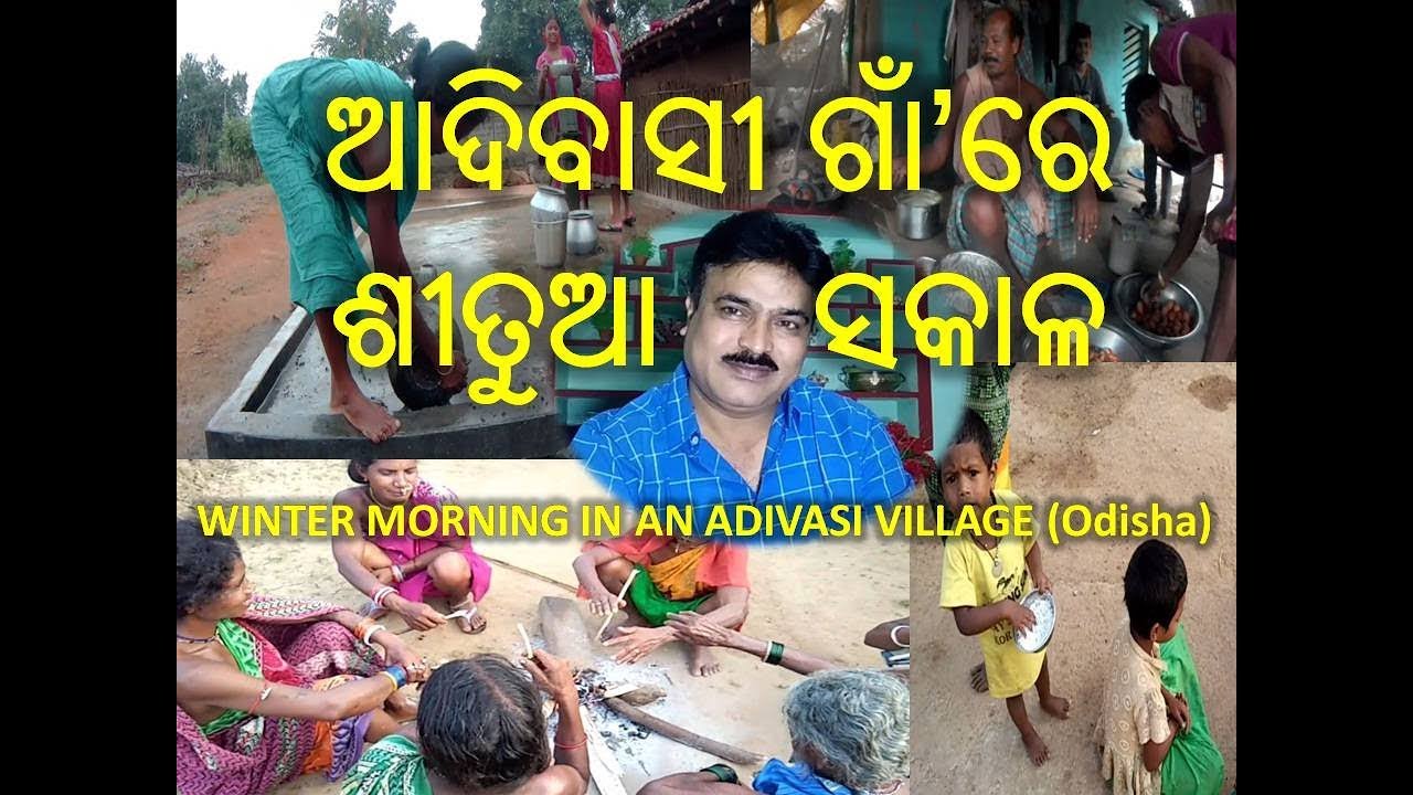 How is the winter morning in a village (Odisha) ଆଦିବାସୀ ଗାଁ’ରେ ଶୀତୁଆ ସକାଳ