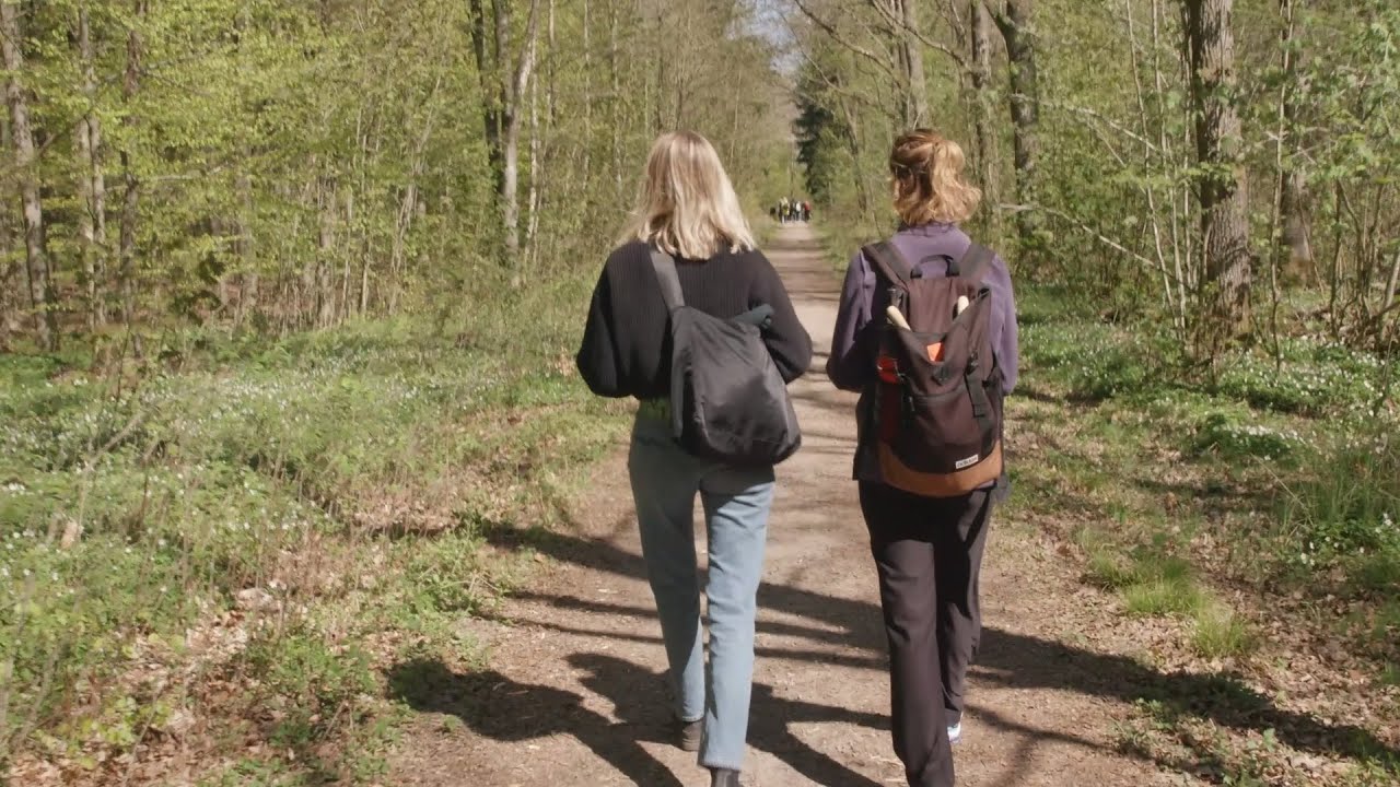 Miljövetarprogrammet - Människa, miljö och samhälle | Malmö universitet