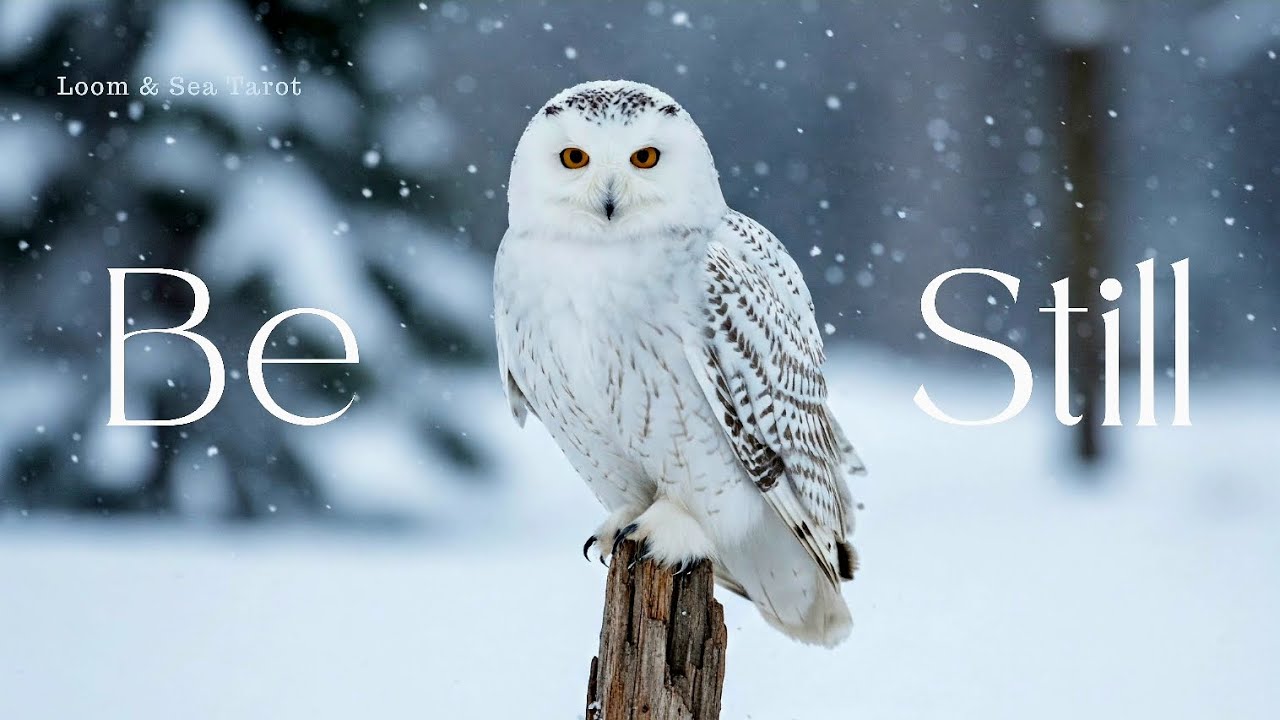 SPIRIT GUIDES: Do Not Underestimate The Power of STILLNESS  ~ Tarot Reading 