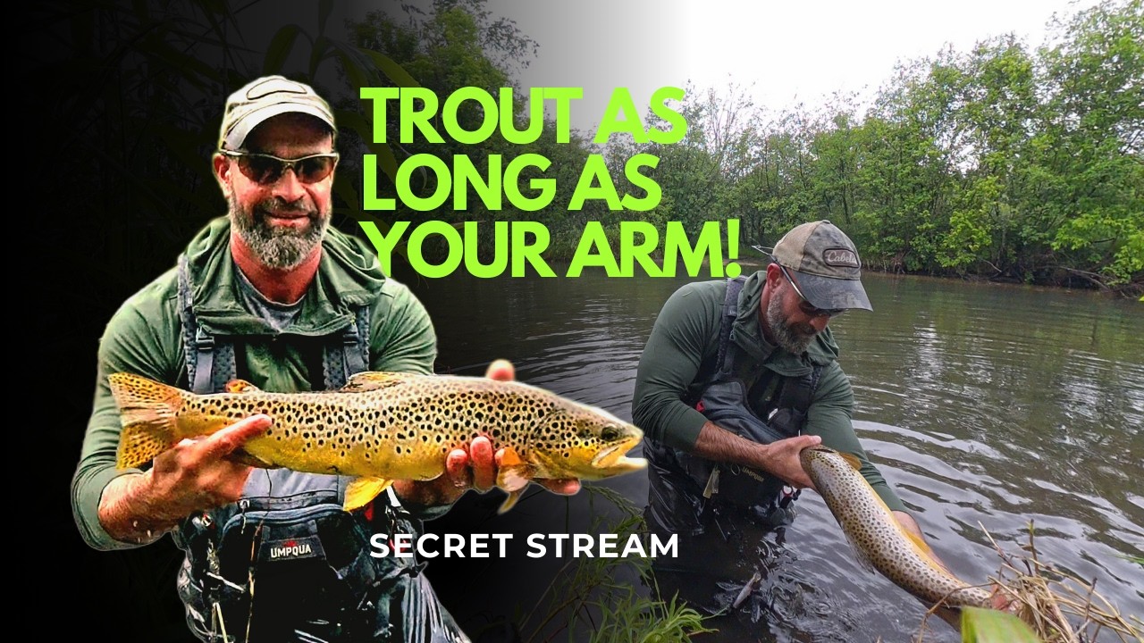 В секретном ручье в штате Мичиган водится много крупной форели (наживка, снасти и ловля нахлыстом).