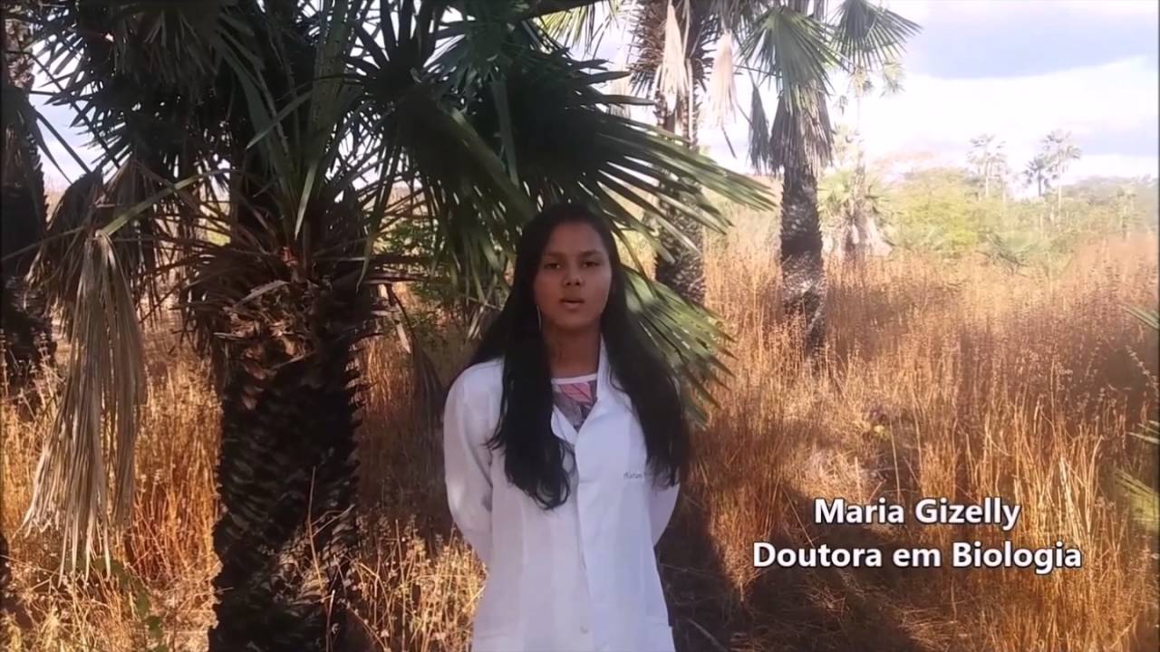 Partes da planta (Caule) - Trabalho de biologia