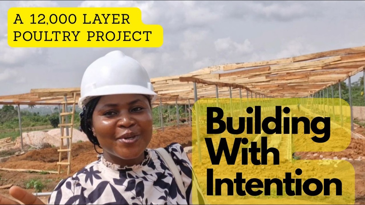 Building With Intention: Our 12,000 Bird Poultry Farm Expansion Journey