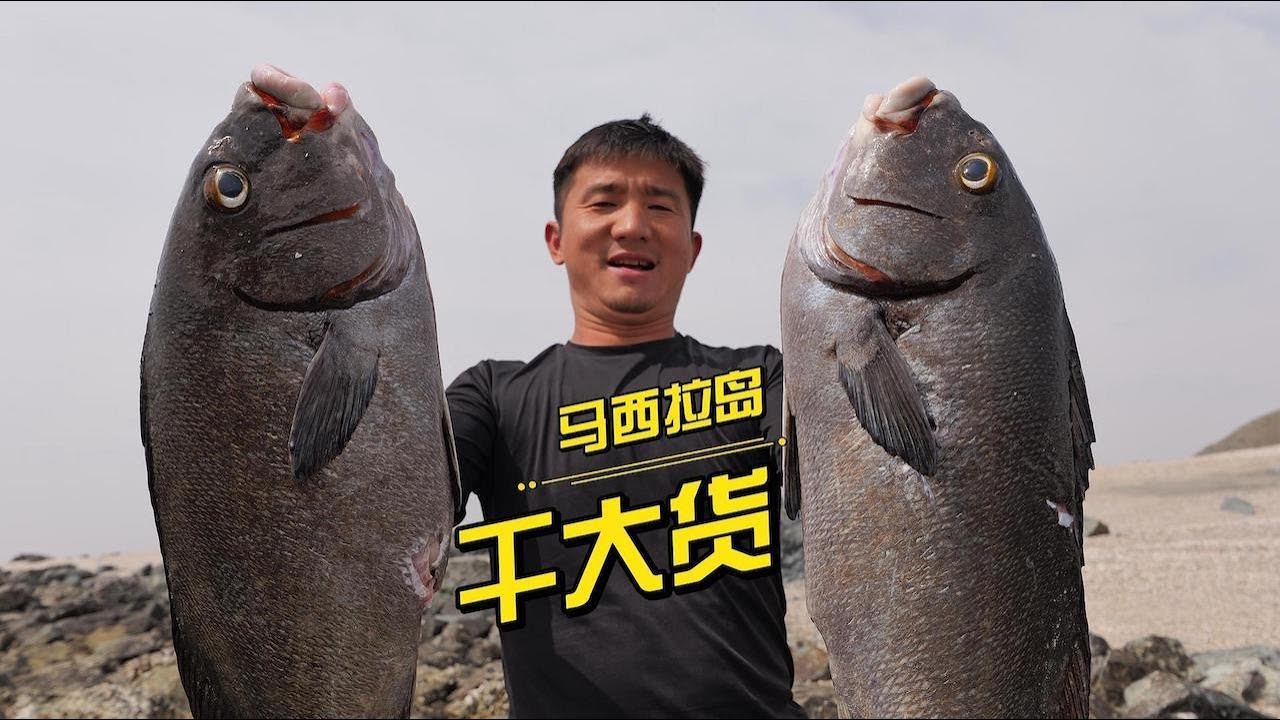 《Oman自驾》～第29集：2天1夜，探索中东海岛，大货多到装不下  #赶海 #抓龙虾 #潜水 #阿曼 #渔猎 #抓螃蟹 #荒岛探索