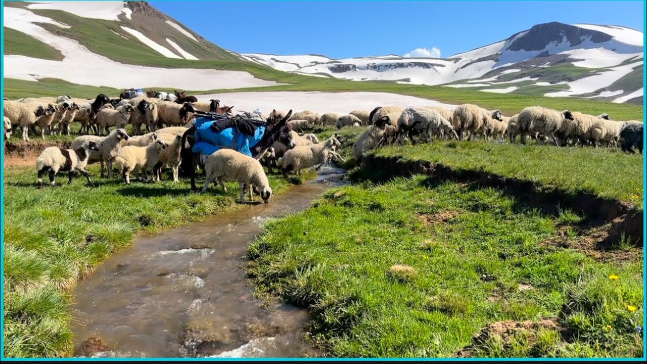 KARLI DAĞLAR VE DOĞAYI GÜZELLEŞTİREN ÇİÇEKLER(5’kısım)