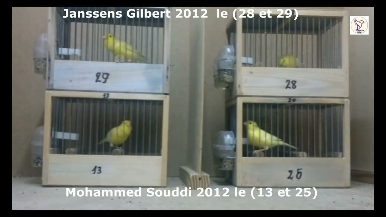 Top Belgium klokkend waterslager ok ‐ Mohammed Souddi Réalisation