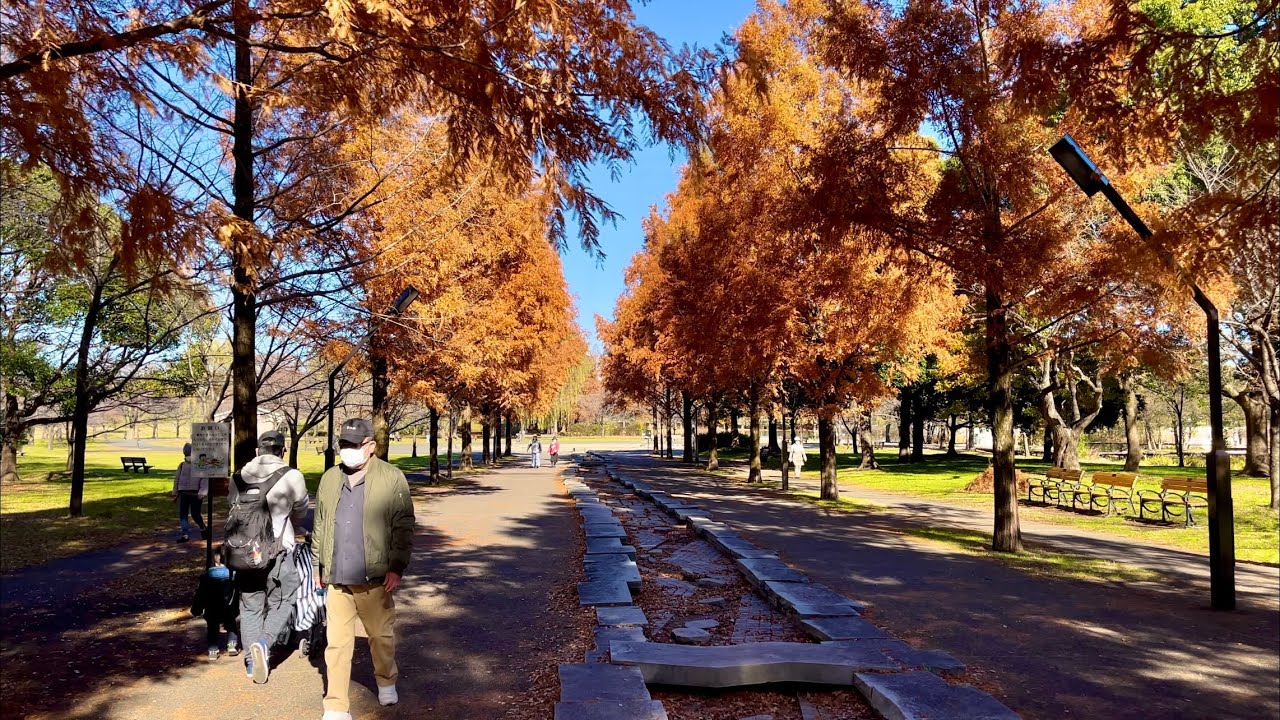 [JAPAN/TOKYO]Toneri-koen Toneri Park walking scenery