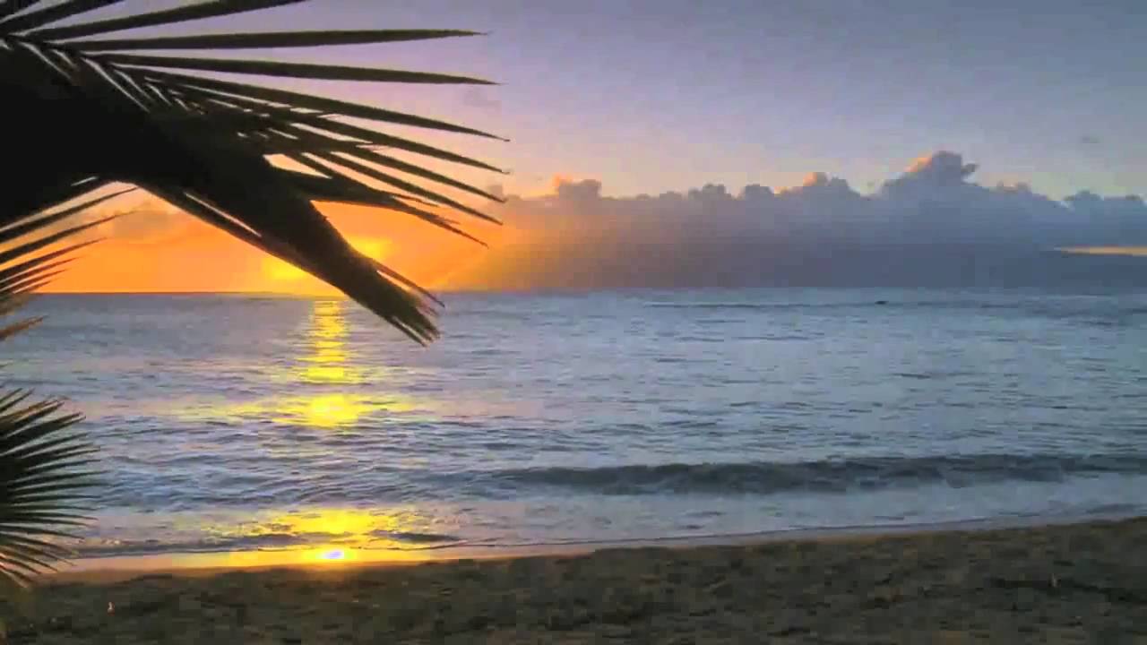 Tronik Youth - Taking All The Sunshine